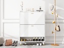 Two-Flip Shoe Cabinet
