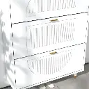 Tamjeed Shoe Cabinet with 3 Flip Drawers