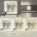 36" x 36" Tempered Glass,Frameless, Anti-Fog, Dimmable, Backlit + Front Lit LED Vanity Mirror